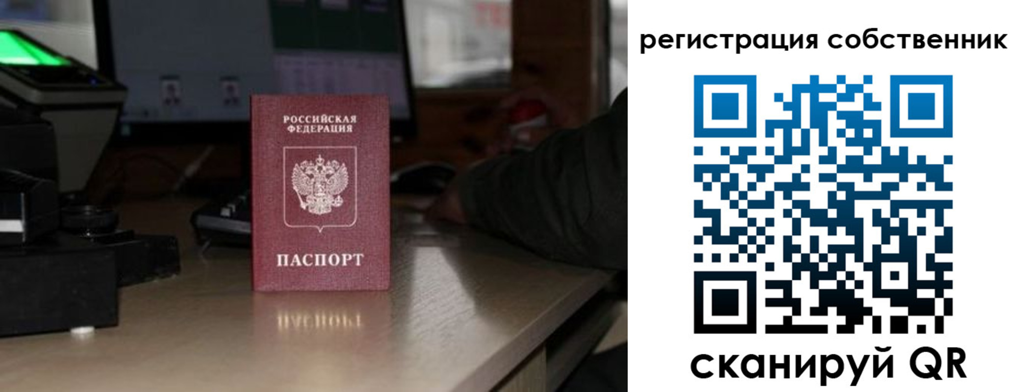 прописка поиск в Купино